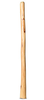 Medium Size Natural Finish Didgeridoo (TW1368)